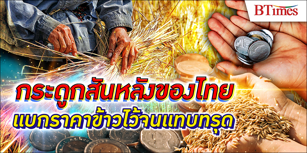 ราคาข้าว ตกต่ำ ... ในเมื่อข้าวเป็นอาหารหลักของคนไทย แต่เหตุไฉนทำไมชาวนาถึงไม่รวย 