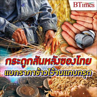 ราคาข้าว ตกต่ำ ... ในเมื่อข้าวเป็นอาหารหลักของคนไทย แต่เหตุไฉนทำไมชาวนาถึงไม่รวย