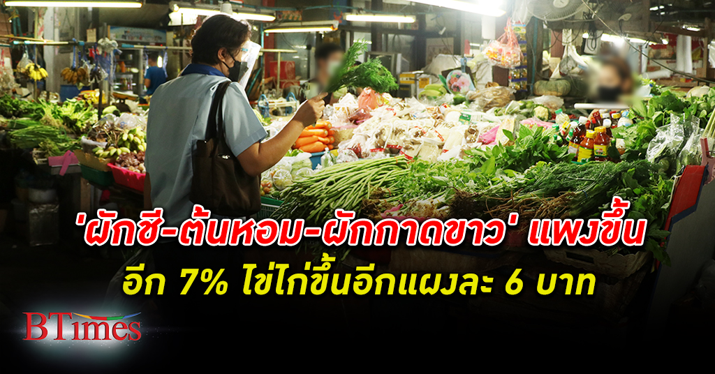 ผักชี-ต้นหอม-ลุ้ย แพงยกแผงอีก 7% ไข่ไก่ทั่วไทยแพงขึ้นแผงละ 6 บาท มีผลทันที
