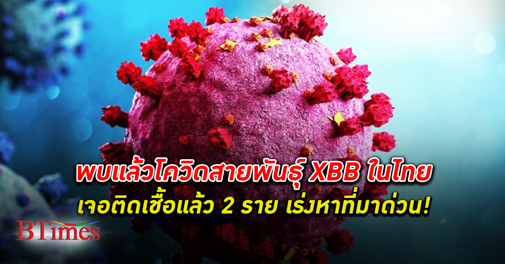 โควิด สายพันธุ์ XBB เจาะในไทย 2 ราย ยันคนติดเชื้อจากไทยไปฮ่องกงเป็นคนฮ่องกง 3 ราย