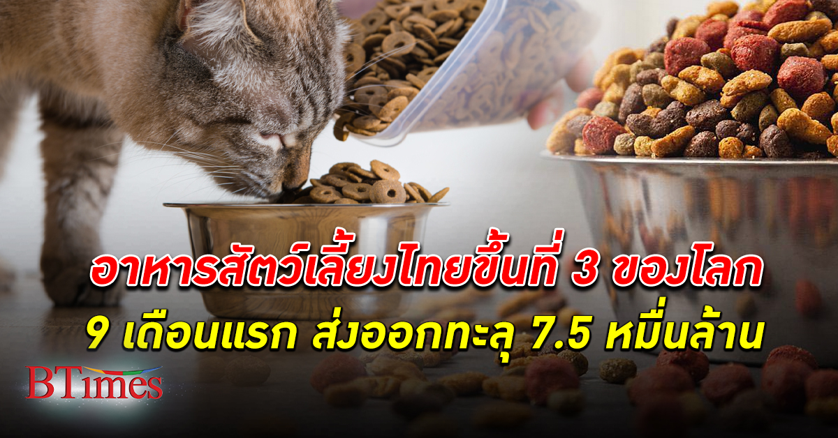 พาณิชย์ เผย 9 เดือนแรก ไทย ส่งออก 'อาหารสัตว์เลี้ยง' 7.5 หมื่นล้าน อยู่อันดับ 3 ของโลก
