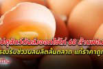 แก้ราคาไข่! กรมปศุสัตว์ ผนึกกำลังภาคเอกชนผลักดัน ส่งออก ไข่ไก่ ธันวาคม 60 ล้านฟอง
