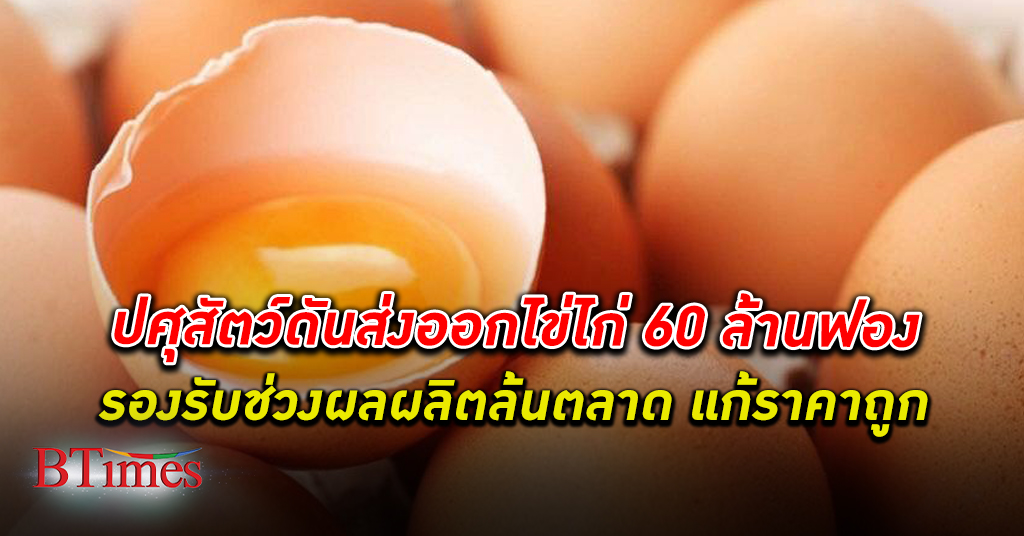แก้ราคาไข่! กรมปศุสัตว์ ผนึกกำลังภาคเอกชนผลักดัน ส่งออก ไข่ไก่ ธันวาคม 60 ล้านฟอง