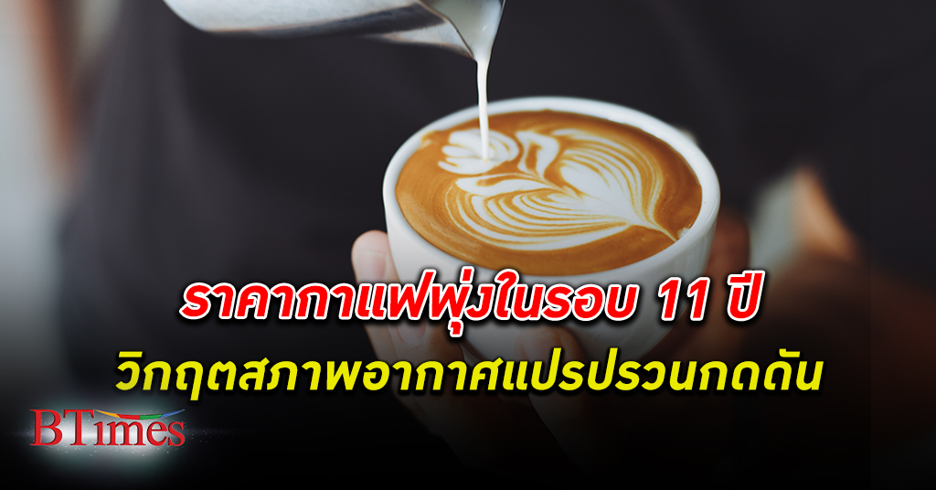 กาแฟแพง! ราคากาแฟ พุ่งในรอบ 11 ปี อานิสงส์ไทยดันนำเข้ากาแฟไทย ปี 65 ขยายตัวสูง