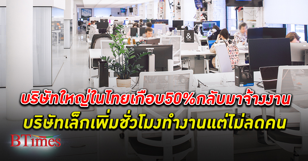 หางานฟื้น! เกือบครึ่ง บริษัท ใหญ่ในไทยกลับ จ้างงาน เพิ่มใน 4 กลุ่มงาน