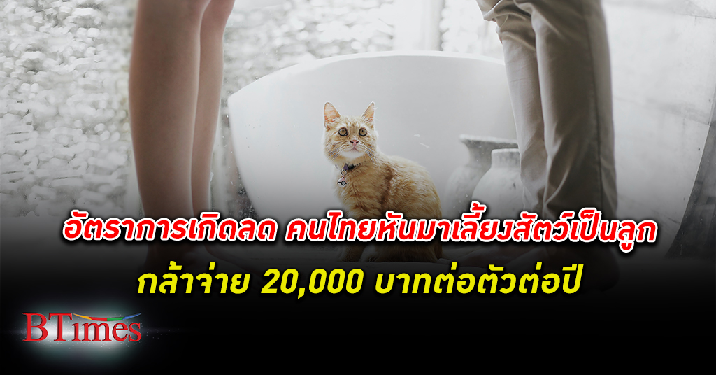 เลี้ยงแทนลูก! คนไทย หัน เลี้ยงสัตว์ เป็นลูก กล้าจ่าย 20,000 บาทต่อตัวต่อปี