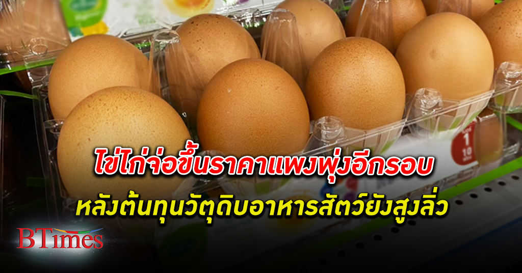 เตรียมขึ้นอีกแล้ว! สมาคมการค้าผู้เลี้ยงไก่ไข่ รายย่อยภาคกลางขู่ ขึ้นราคา ไข่ไก่ อีกรอบ