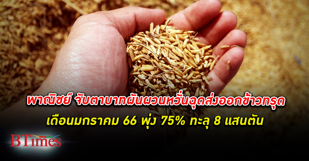 พาณิชย์ เผยไทย ส่งออกข้าว เดือนมกราคม ทะลุ 8 แสนตัน พุ่ง 75% ตั้งเป้าทั้งปีส่งออกข้าว