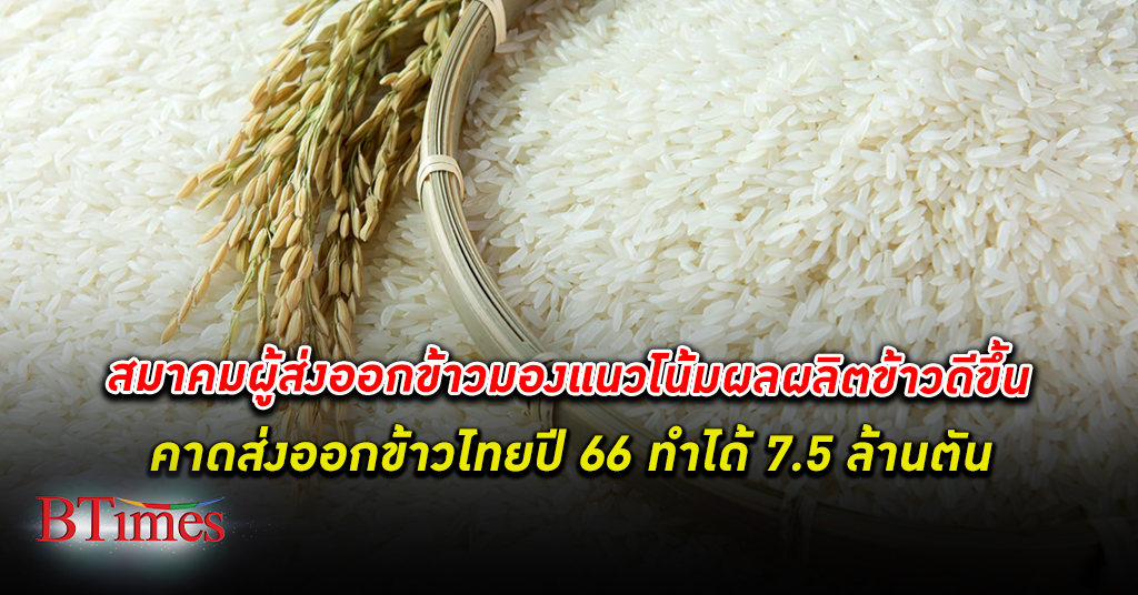 ผลผลิตดีขึ้น! สมาคมผู้ส่งออกข้าวไทย คาดการณ์ ส่งออกข้าวไทย ปี 66 ที่ 7.5 ล้านตัน