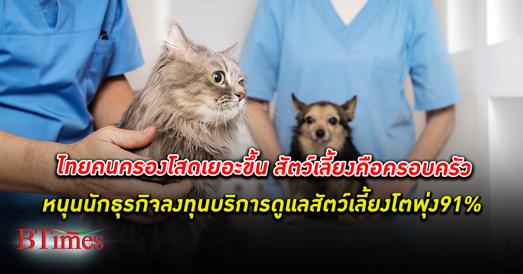ธุรกิจบริการดูแลสัตว์เลี้ยง ในไทยปี 65 โตพุ่ง นักธุรกิจแห่ลงทุนเปิดกิจการกว่า 91%