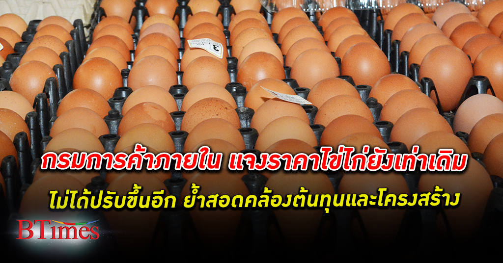 แพงเท่าเดิม! กรมการค้าภายใน ชี้แจง ราคา ไข่ คละหน้าฟาร์มของเกษตรกรผู้เลี้ยงไก่ไข่