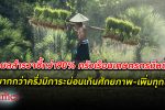 หนี้ เกษตรกร พุ่ง! แบงก์ชาติ จับมือ 14 หน่วยงาน พัฒนาข้อมูลเพื่อแก้หนี้เกษตรกรไทย