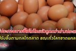 แพงตามกลไกตลาด ผู้ประกอบการเผย ไข่ไก่ ขาดแคลนทั่วโลก ชี้ราคาไข่ไก่ไทยถูกกว่าต่างประเทศ