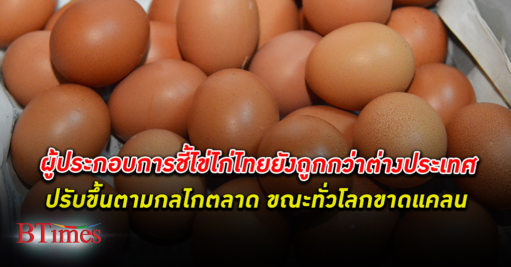 แพงตามกลไกตลาด ผู้ประกอบการเผย ไข่ไก่ ขาดแคลนทั่วโลก ชี้ราคาไข่ไก่ไทยถูกกว่าต่างประเทศ