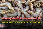 ศูนย์วิจัยกสิกรไทย คาด ส่งออกกุ้ง ไทยปี 66 อาจหดตัว -3.5% ถึง โตได้ 0.5%