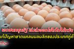 ต้องช่วยกัน! เอกชน ผลิต ไข่ไก่ หนุนกรมปศุสัตว์ส่งไข่ไก่ช่วย ไต้หวัน อย่างเร่งด่วน