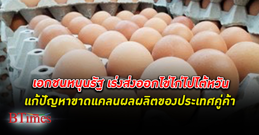 ต้องช่วยกัน! เอกชน ผลิต ไข่ไก่ หนุนกรมปศุสัตว์ส่งไข่ไก่ช่วย ไต้หวัน อย่างเร่งด่วน