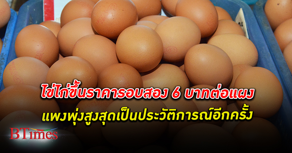ราคาไข่ไก่ ปรับขึ้นรอบสอง 6 บาทต่อแผง แตะระดับสูงสุดเป็นประวัติการณ์อีกครั้ง