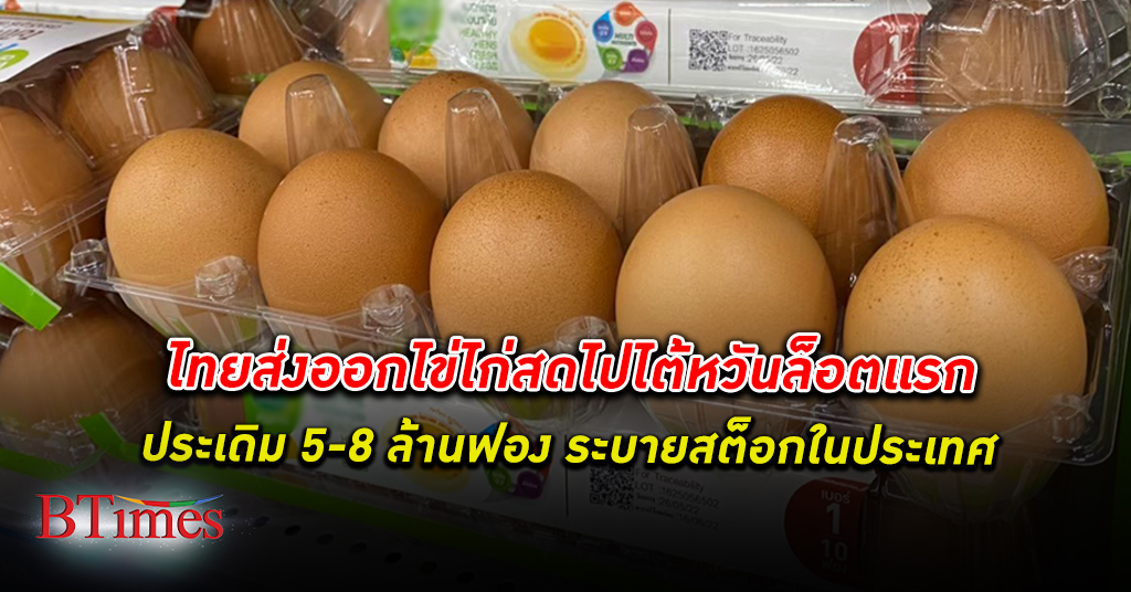 ส่งออกไข่ไก่ สดไป ไต้หวัน หลังเจรจาสำเร็จ เริ่มส่งล็อตแรก มี.ค. 66 ประเดิม 5-8 ล้านฟอง