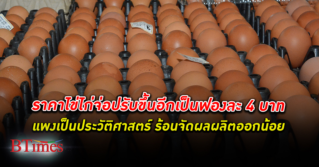 ฟองละ 4! คนไทยจ่อซื้อ ไข่ไก่ ทะลุฟองละ 4 บาท สุดแพงเป็นประวัติศาสตร์