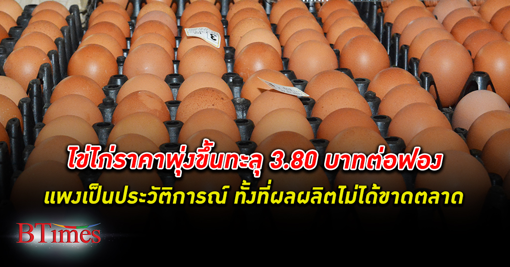 ไข่ไก่ ทำนิวไฮทะลุ 3.80 บาท/ฟอง แพงเป็นประวัติการณ์ท่ามกลางข้อกังขาว่าขึ้นได้อย่างไร