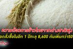 หลง ข้าวไทย ! ต่างชาติแห่สั่งซื้อข้าวไทยในอีก 1 ปีพุ่งเกือบ 50% ทะลุกว่า 8,600 ตัน