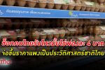 ยันราคา! คนไทยจ่อช็อก ราคาไข่ไก่ แพงจี๊ดถึงฟองละ 4 บาทเป็นประวัติศาสตร์ชาติไทย