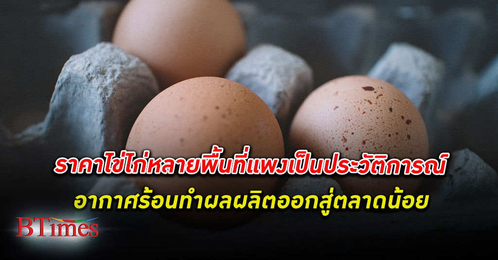 ราคาไข่ไก่ ในหลายพื้นที่สูงเป็นประวัติการณ์ เหตุมีไข่ไก่ออกสู่ตลาดน้อยจากสภาพอากาศร้อน