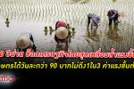 ไทยสุดเหลื่อม! เศรษฐกิจไทย ยุคนี้ เหลื่อมล้ำ ขึ้น เกษตรกร เหลือ รายได้ แค่วันละ 95 บาท