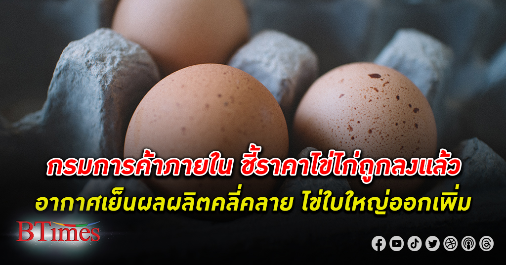 กรมการค้าภายใน เผยสถานการณ์ ไข่ไก่ เริ่มคลี่คลาย ราคาไข่ไก่ คละหน้าฟาร์มเฉลี่ยฟองละ 3.80 บาท