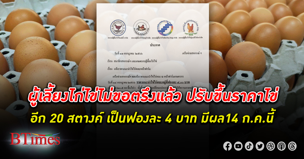 คนไทยร้องจ๊าก ไข่ไก่ ราคาไข่ หน้าฟาร์มขึ้นแตะฟองละ 4 บาท มีผล 14 ก.ค.นี้ แพงเป็นประวัติการณ์