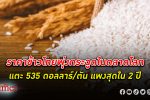 ข้าวไทยแพง! ราคา ข้าวไทย ในตลาดโลกพุ่งสูงสุดในรอบ 2 ปี รับปรากฏการณ์เอลนีโญ