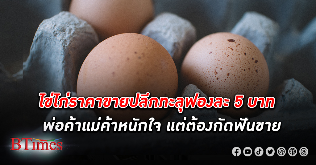 ประชาชนเดือดร้อนหนัก ไข่ไก่ ทะลุฟองละ 5 บาท หลังมีการปรับ ราคาไข่ คละหน้าฟาร์ม