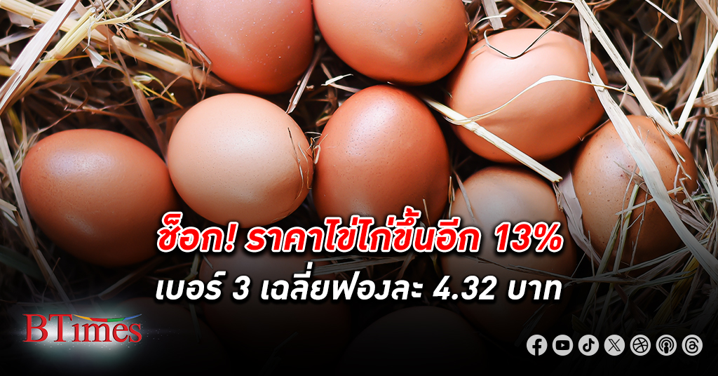 เอ้กบอร์ด ปรับขึ้น ราคาไข่ไก่ 13% หลังต้นทุนอาหารสัตว์พุ่ง 74% ผลผลิตลดดันราคาดีดแรง