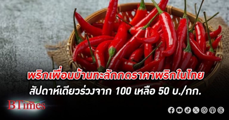 เกษตรกรอ่วม! ราคา พริก สด ร่วง แค่ 1 สัปดาห์ ลดลงจากกิโลกรัมละ 100 เหลือเพียง 50 บาท