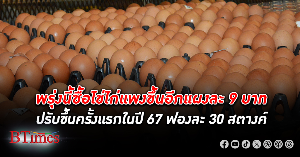 พรุ่งนี้ ซื้อ ไข่ไก่ แพงขึ้นอีกแผงละ 9 บาท ขึ้นราคาครั้งแรกรับปี 67 อีกใบละ 30 สตางค์