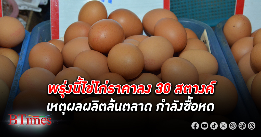 พรุ่งนี้ ราคาไข่ ไก่ จะปรับลง 30 สตางค์เหลือ 3.50 บาทต่อฟอง หรือขยับลงแผงละ 9 บาท