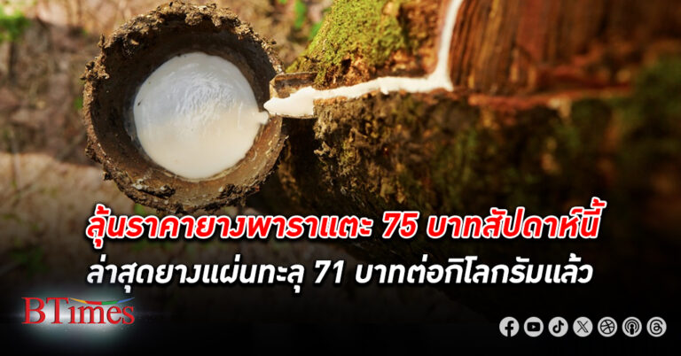 ราคายาง พุ่งไม่หยุด ขึ้นวันละบาทกว่า ยางแผ่นรมควันทะลุ 71 บาทต่อกิโลกรัมแล้ว