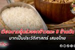 เวียดนาม จี้ติด ส่งออกข้าว สูสีไทย มีตีเสมอส่งออกข้าว 8 ล้านตันมากเป็นประวัติศาสตร์