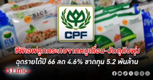 ซีพีเอฟ รายได้ ปี 66 ลดลง 4.6% เหลือกว่า 5.85 แสนล้าน ขาดทุน 5.2 พันล้าน จากผลกระทบหมูเถื่อน