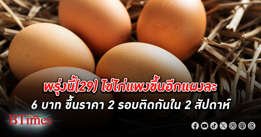เครือข่ายสหกรณ์เลี้ยงไก่ไข่สั่งขึ้น ราคาไข่ ไก่คละขนาดหน้าฟาร์มอีกแผงละ 6 บาท