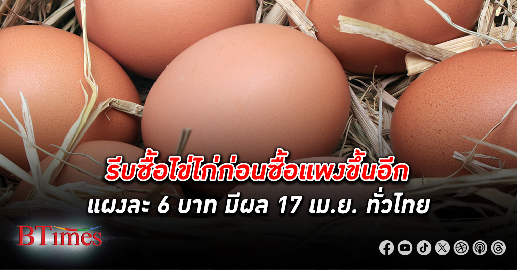 จบสงกรานต์สินค้าแรกขึ้นราคา รีบซื้อตุน ไข่ไก่ ก่อนซื้อแพงขึ้นอีกแผงละ 6 บาท มีผล 17 เม.ย.ทั่วไทย