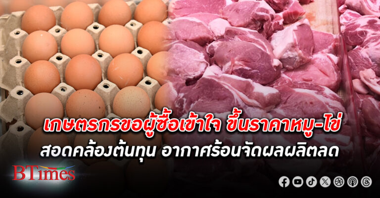 เกษตรกรผู้เลี้ยง หมู เลี้ยง ไก่ ไข่ แจงเหตุขยับ ขึ้นราคา สอดคล้องต้นทุน อากาศร้อนจัดทำผลผลิตลดลง