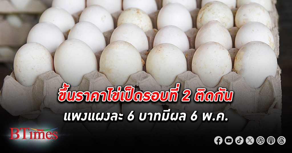 ทอดไข่ดาวต้นทุนสูงอีก ขึ้น ราคาไข่เป็ด รอบที่ 2 ติดกัน อีกแผงละ 6 บาทมีผลวันนี้ 6 พ.ค.