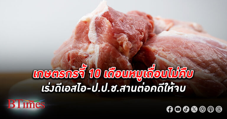 เกษตรกรจี้ 10 เดือน หมูเถื่อน ไม่คืบ เร่งดีเอสไอ-ป.ป.ช.สานต่อคดีให้จบ ด้านศุลกากรยังไม่เปิดตู้คอนเทนเนอร์ตกค้าง