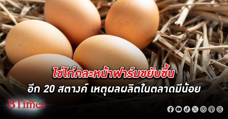 ค้าภายในเผย ไข่ไก่ คละหน้าฟาร์มขยับขึ้นอีก 20 สตางค์ เหตุผลผลิตในตลาดมีน้อย