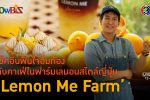 'Lemon Me Farm' เติมมูลค่าเพิ่มธุรกิจมะนาวครบวงจร l 12 มิ.ย. 67 FULL l BTimes ShowBiz