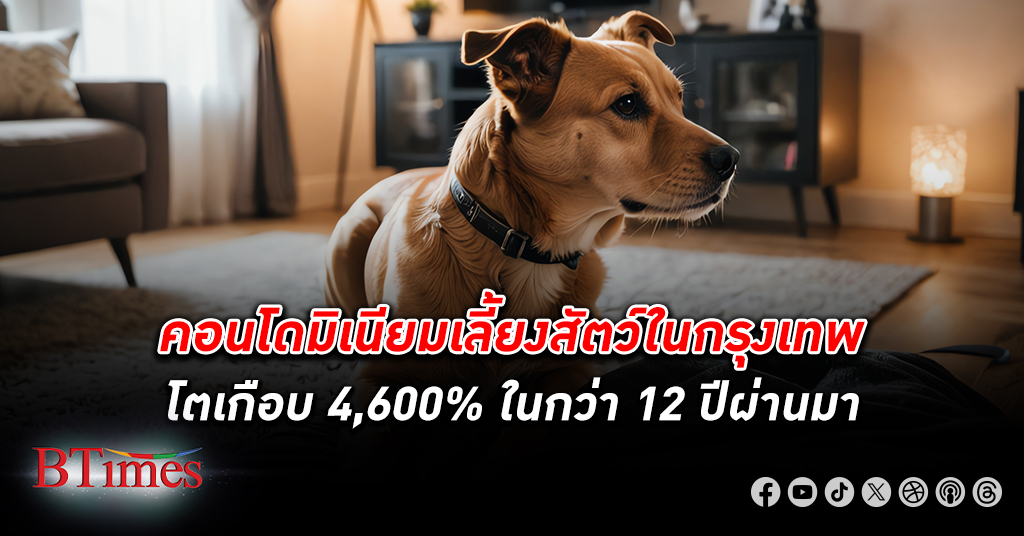 คอนโดมิเนียมเลี้ยงสัตว์ ในกรุงเทพได้โตกระฉูดกว่าเกือบ 4,600% ในกว่าทศวรรษผ่านมา