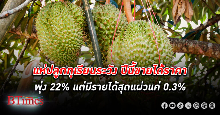 แห่ปลูก ทุเรียน ระวัง ปีนี้ขายได้ราคาดีงามพุ่ง 22% แต่รายได้แผ่วแค่ 0.3% ทั้งปีผลิตตกต่ำใน 15 ปี