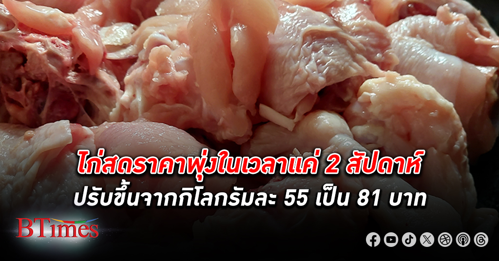 ไก่สด ราคาพุ่ง 2 สัปดาห์ขึ้นจากกิโลกรัมละ 55 เป็น 81 บาท ชาวเน็ตโอดราคาแพงพรวด ทั้งตลาดทั้งในห้างฯ